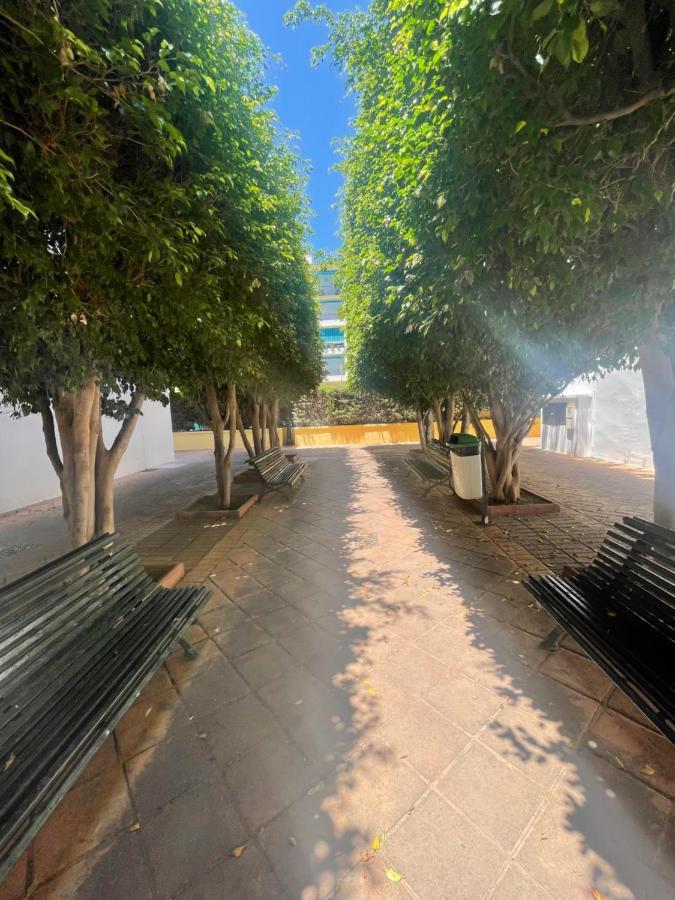Apartamento Jardines Del Rocio Torre Del Mar Εξωτερικό φωτογραφία
