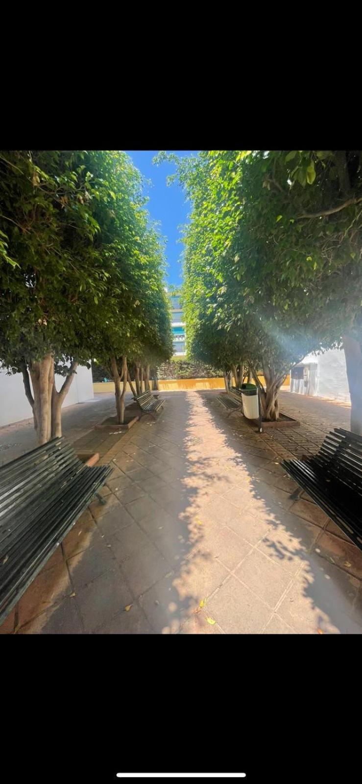 Apartamento Jardines Del Rocio Torre Del Mar Εξωτερικό φωτογραφία